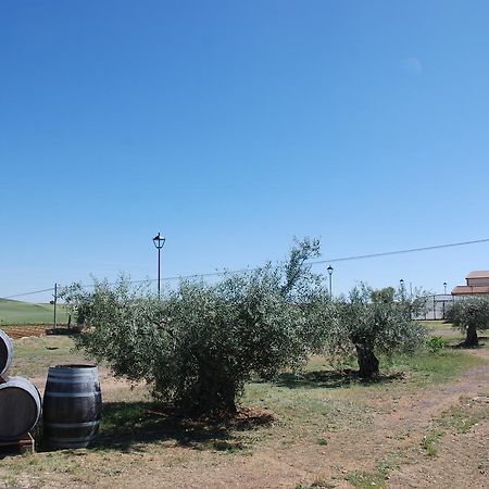 Casa Rural Teso De La Encina Villamor de los Escuderos Екстер'єр фото