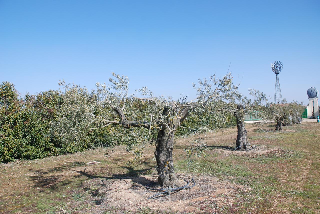 Casa Rural Teso De La Encina Villamor de los Escuderos Екстер'єр фото